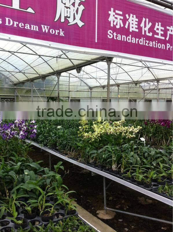 PC Sheet Greenhouse