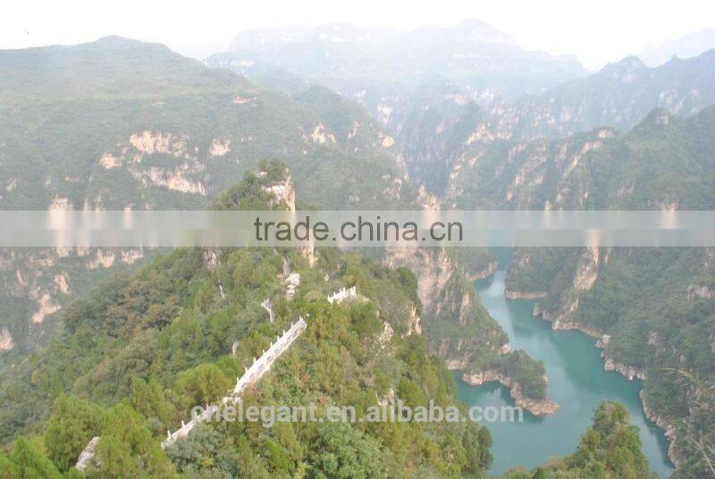 Fishion Sport Japanese Fishing Boat with GPS