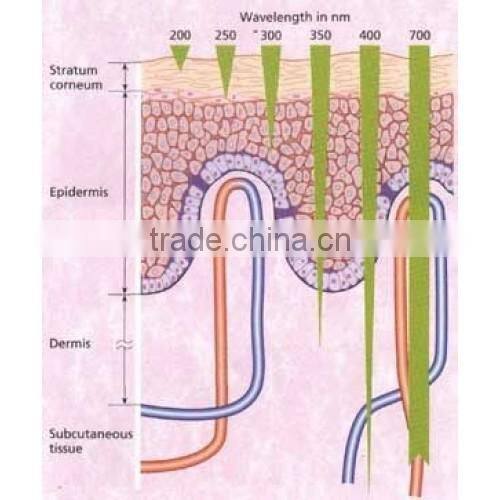 latest chinese product 6 in 1 Portable Multifunctional Beauty Machine/slimming machine/cosmetic apparatus
