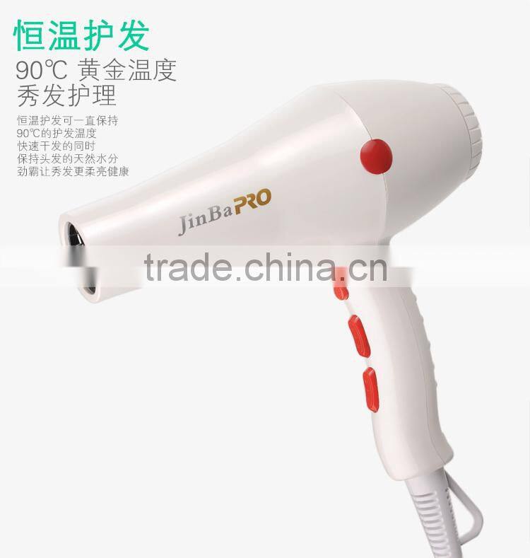 Professional DC motor AC motor Hair Dryer