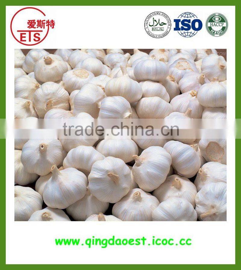 chinese natural spice garlic supply to Singapore