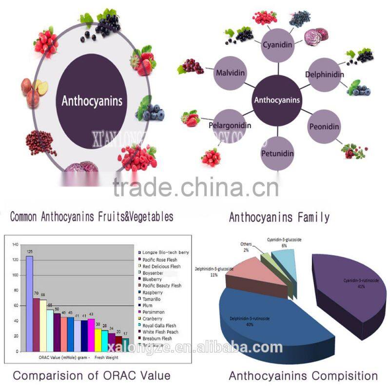 Factory Bulk-supply High-quality and Favorable Black Currant Fruit Powder Extract/Black Currant Extract with anthocyanidins 25%