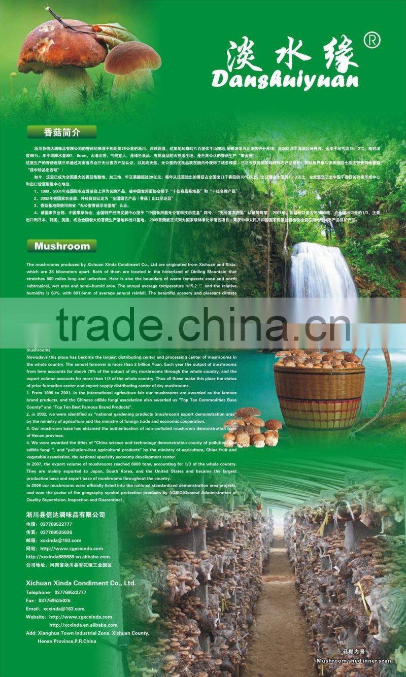 2015 new crop shiitake mushroom ,Top quality Tea flower mushroom