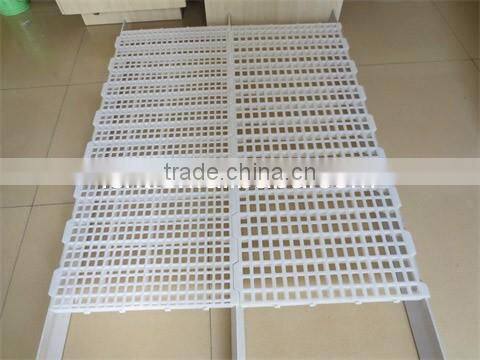 Most popular chicken plastic slat floor