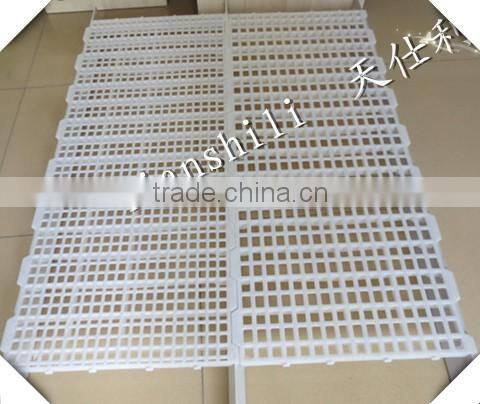 Colorful plastic egg tray for egg storage