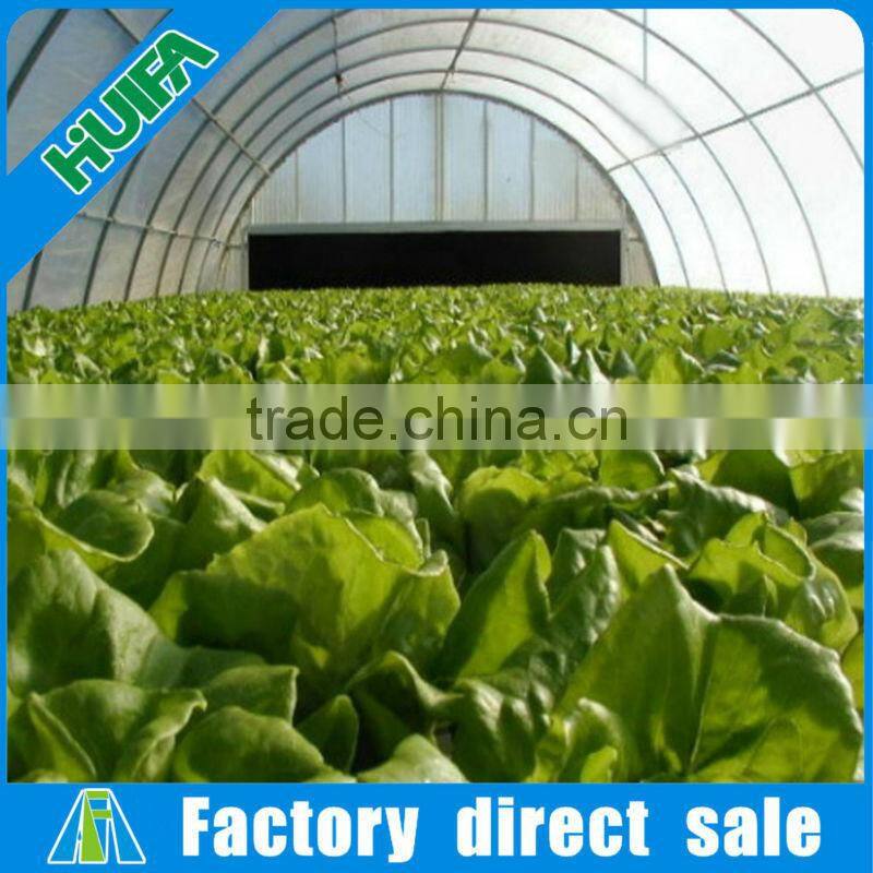 Large Multi-span Agricultural Greenhouse for Sale