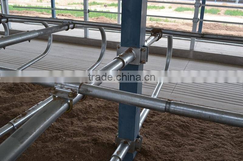 Galvanized Cow equipment cattle free stall