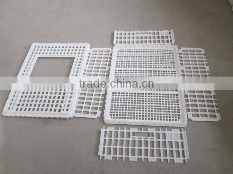 chicken coop for poultry farm