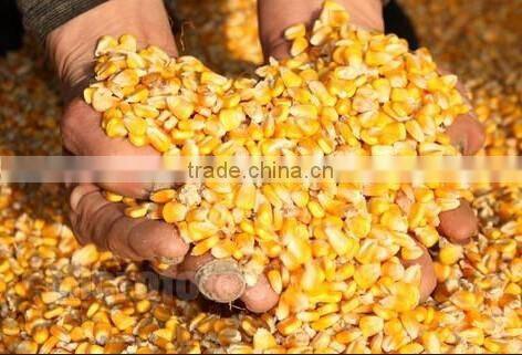 High quality small corn mill machine