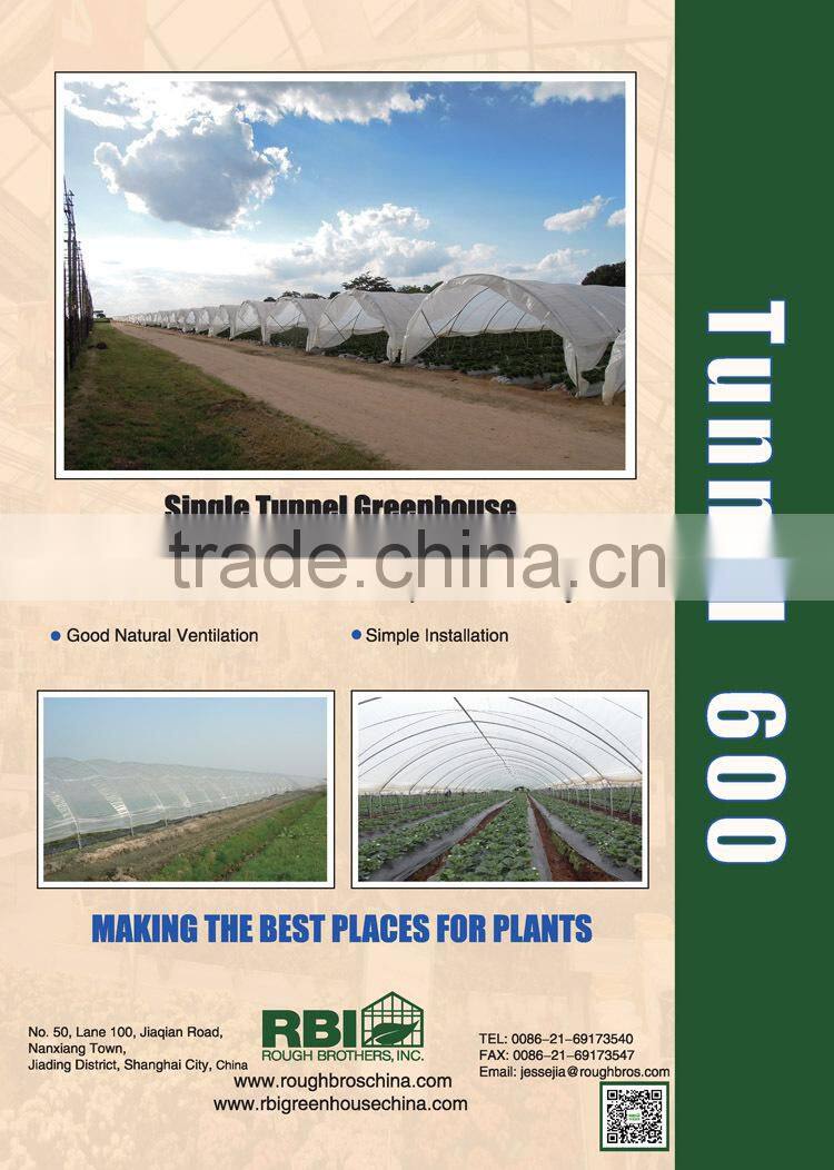 Tunnel plastic Greenhouse for agriculture low cost