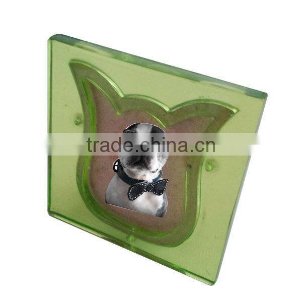 F142 mini tulip design resin funny photo frames for pet