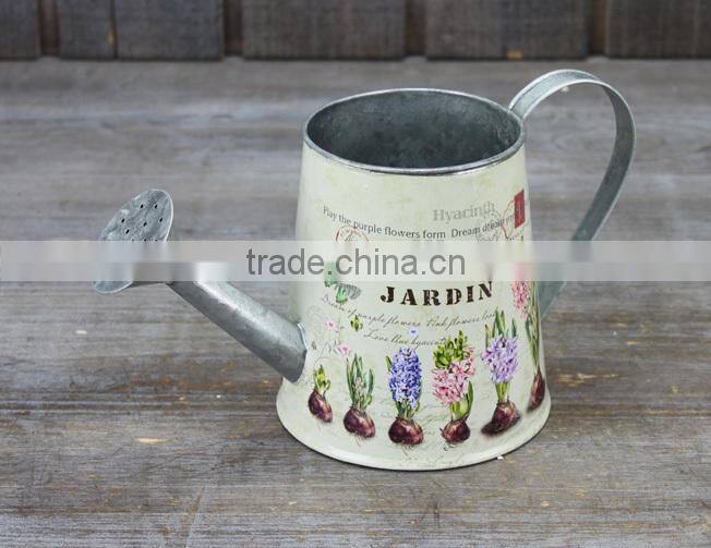 Spring Home & Garden Decor Floral and Watering Can Special for Flower Plant pot