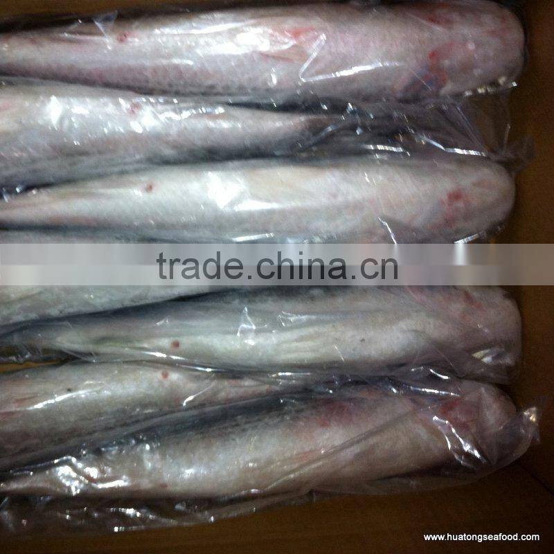 BQF grey mullet whole round ,1000+g Mugil Cephalus