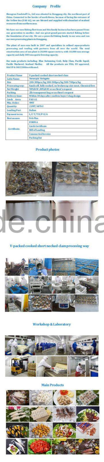 Frozen boiled baby clam