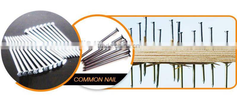 Common Wire Nails For Wood From Guangzhou Supplier