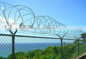 Galvanized Razor Wire from Guangzhou supplier