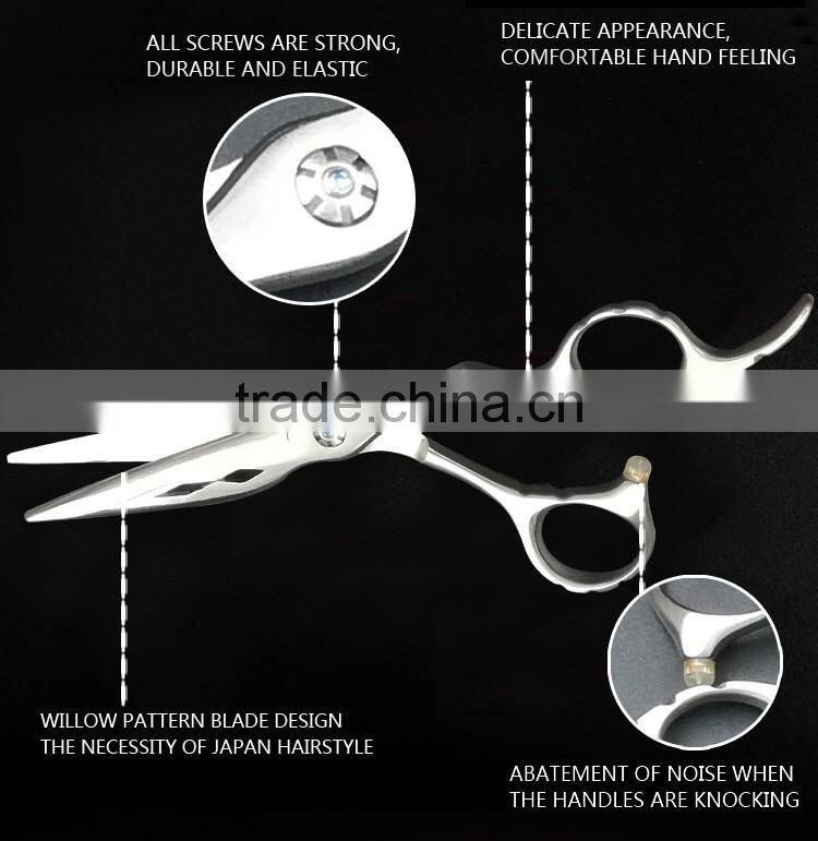 Japanese Hitachi Hair Scissors, Beauty Barber Scissors