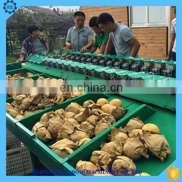 Energy Saving Fruit grading machine vegetable sizer machine sorting grading machine of fruits