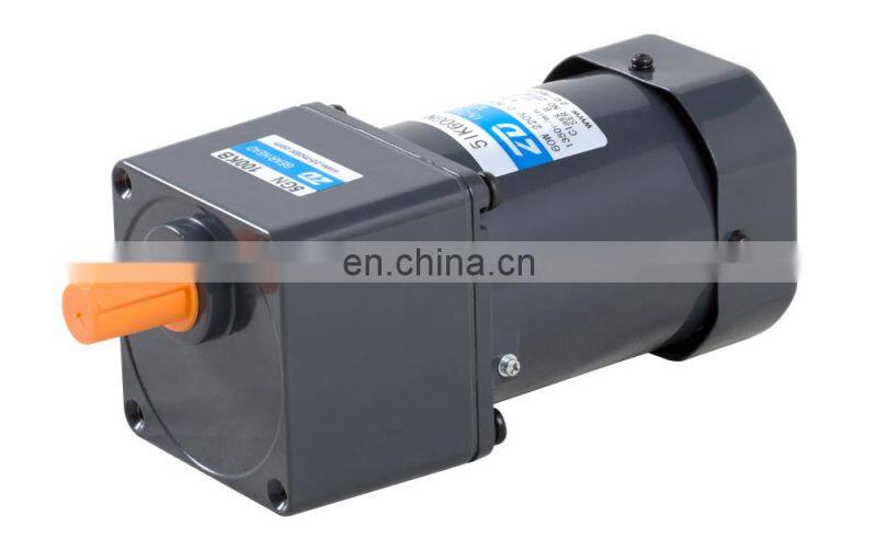 ZD 60W AC Single Phase 220V Induction Gear Motor for Face Mask Making Machine 5IK60GN-C/5GN7.5K