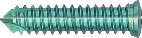 High Quality Veterinary Bone Locking Screw for Locking Plate Orthopedic Trauma Implant