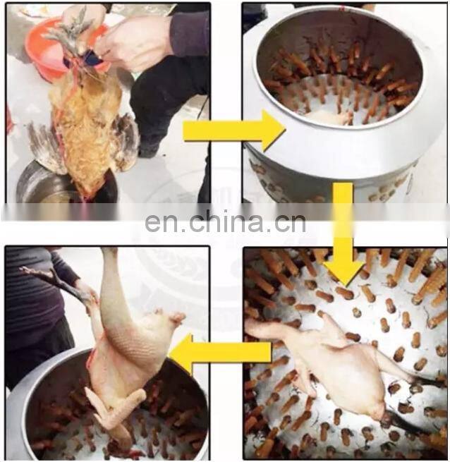 Automatic chicken plucking machine / feather plucker / poultry slaughter equipment of best selling