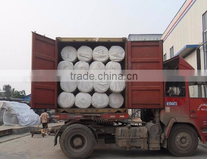 HDPE GEOMEMBRANE FOR POND,TUNNEL,AGRIDUCLTURE