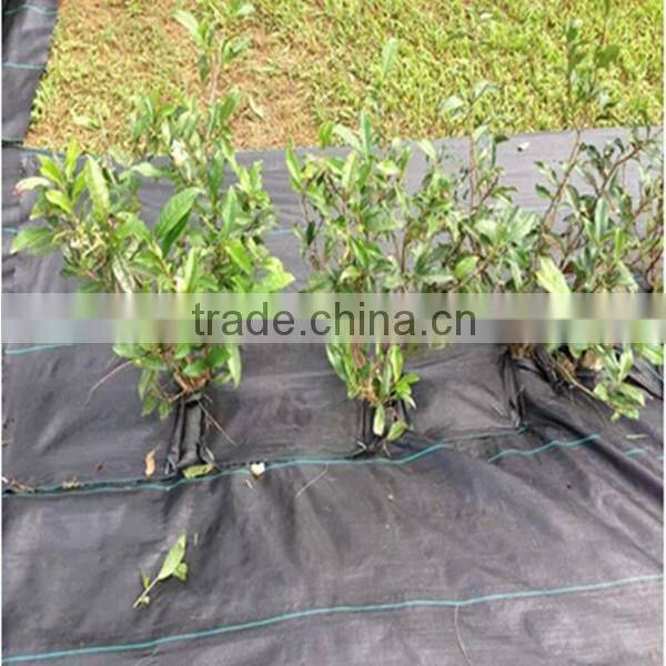 grass killer mat/ground cover mat/anti grass mat