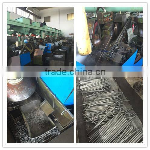 7*250MM Roofing hook bolt for West Africa market