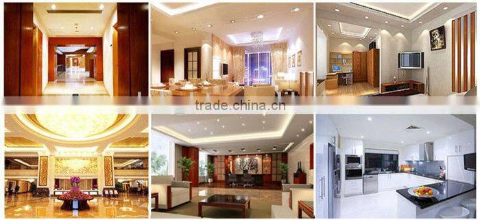 High Power led downlight 734 20w led downlighting