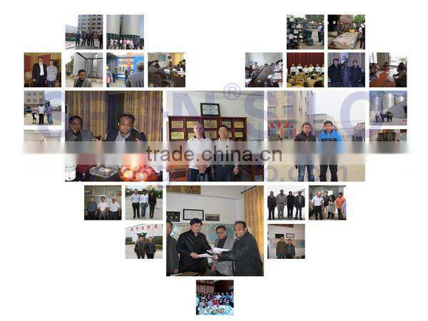 SRON ISO Certified Soybean Meal Storage Steel Silo with Screw Discharging Auger