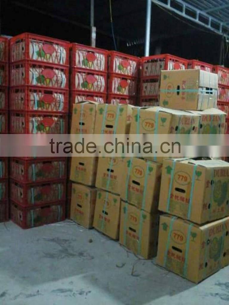 VIET NAM DURIAN- monthong durian