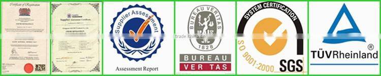 Professional 100% Carbon Fiber Ski Pole And Nordic Ski poles