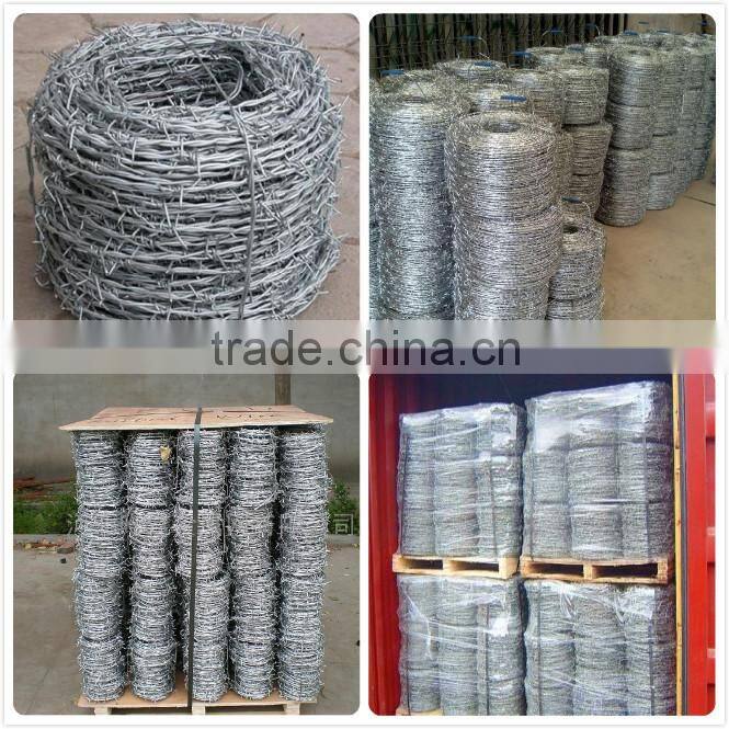 LOW Carbon Roll Barbed Wire