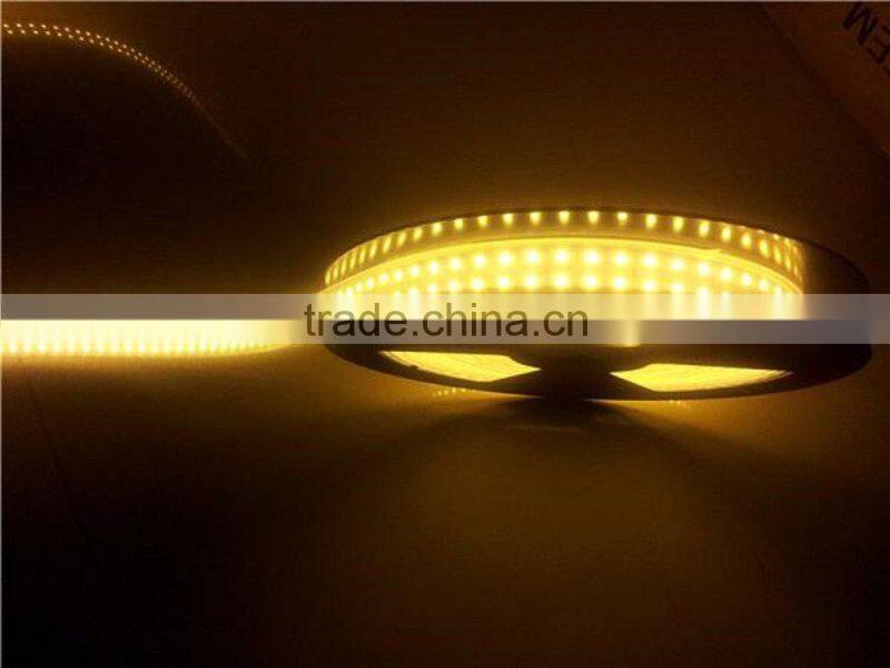 IP67/IP68 12v 5mSMD3528 Double line 24v underwater led strip 1200leds with silicone tube