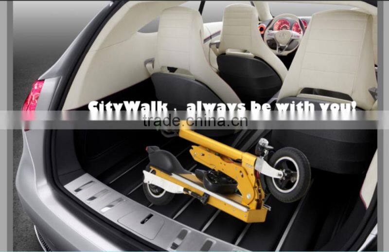 Two seat electric car