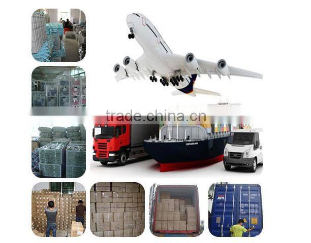 newest butterfly in waistband allover print plus size hot young girl sexy underwear