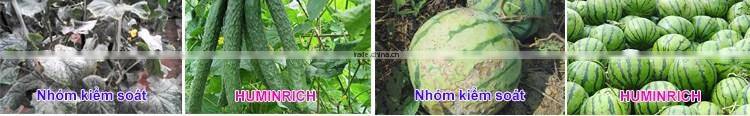 Huminrich HUMIC ACID (Hoa chat co ban dung trong cong nghiep- khong dung trong cong nghiep thuc pham) (Hang moi)