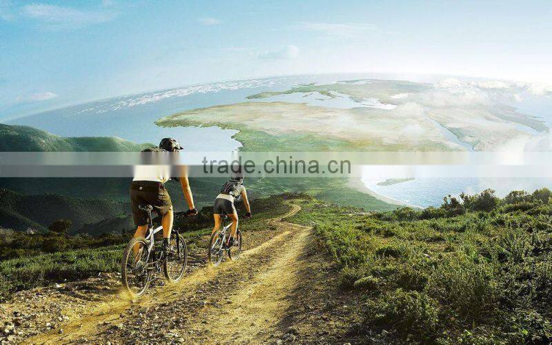 high quality 12" singel speed folding bicycle folding bike mini foldable bike