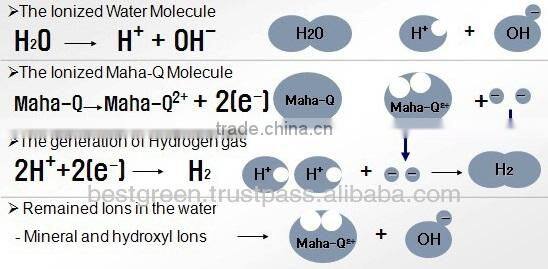 Alkaline Water Ionizer