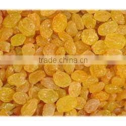 Sultana golden raisins