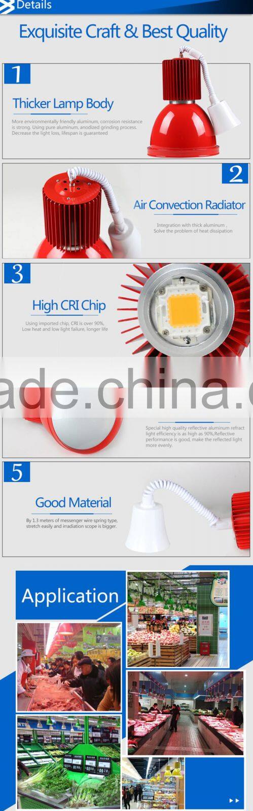 High Class Good Quality 20W 30W 50W LED High Bay Light Fresh Lamp for Dinning Room SupperMarket Fruits Meat Retail Fish Store