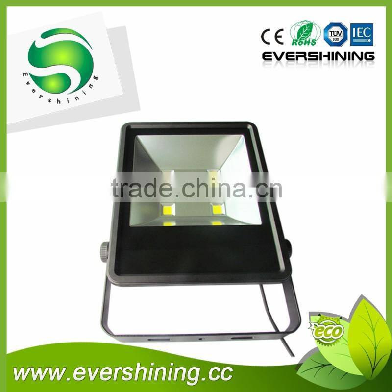 High Lumen Meanwell Driver waterproof 50w sea boat led floodlight