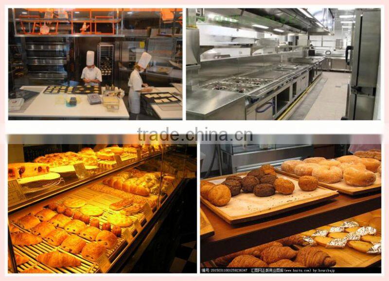 2016 10 trays big capacity Commercial Baguette gas oven convection oven with steam function