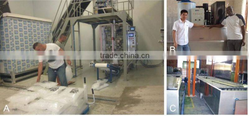 Small Capacity Block Ice Machine 1ton/day