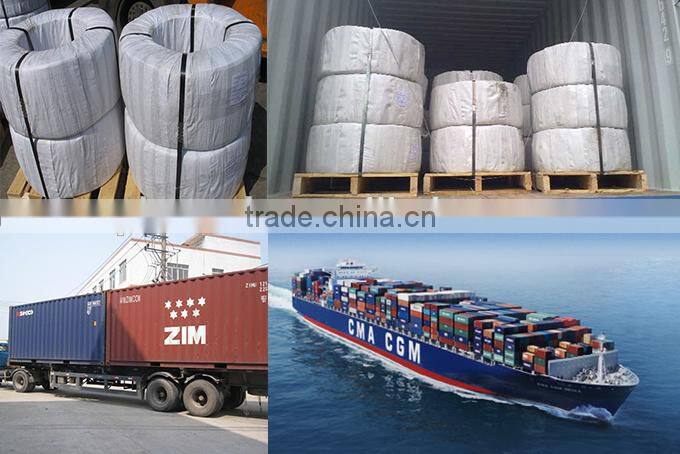 Trustworthy China supplier Galvanized Wire