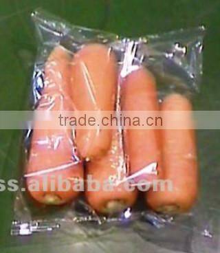 Multi-function Fresh Vegetable Packing Machinery (DCTWB-350X)