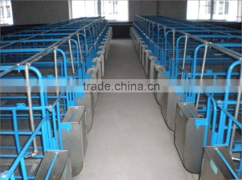 Convenient pig metal feeder