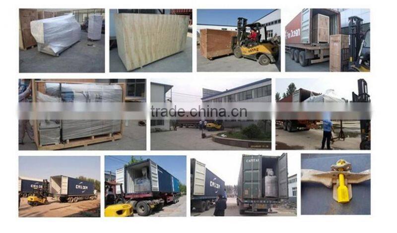 Small Scale 10 Ton Per Day Buckwheat Flour Milling Machine