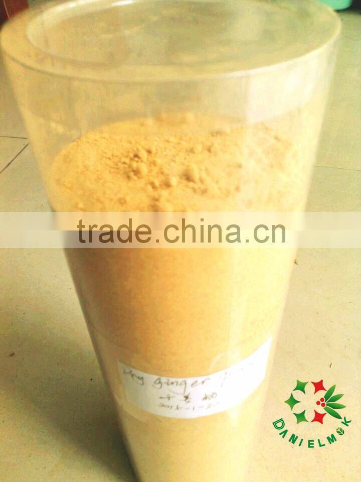100% Ginger Extract Powder