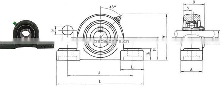 Bearing supplier insert bearing with housing